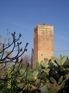 ancien minaret d'almohad a hennaya