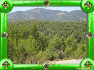 جبل بولغمان بلدية تاوزيانت