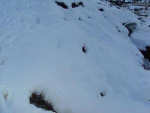 Lemroudj sous la neige 17 décembre 2010