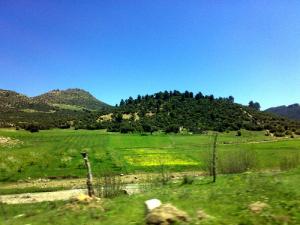 الكانتينة بيابوس منطقة لفلاخة التفاح