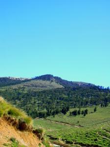يابوس بلدية سياحية بالدرجة الاولى