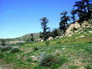 يابوس بلدية سياحية بالدرجة الاولى