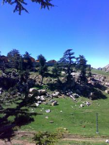 يابوس بلدية سياحية بالدرجة الاولى