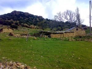 حياة سكان الجبال ---------شليا----