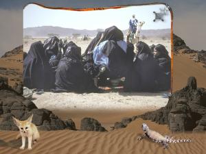 Chants et folklore de la wilaya d'illizi