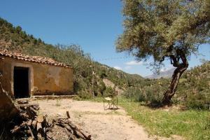 cabane a la montagne