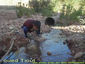 oued Tiout