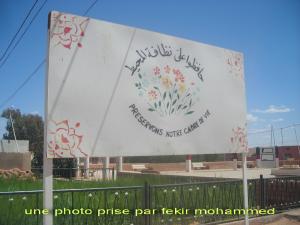 l 'education à l'environnement