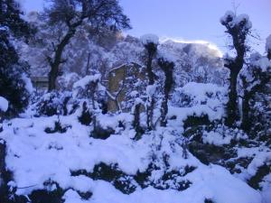 ثلوج القبائل