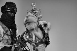 TOUAREG & DROMADAIRE EN N&B