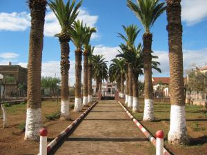 TABIA LA PLACE PUBLIQUE ANNEE 2O11