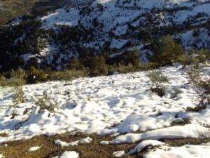 Lemroudj sous la neige 17 décembre 2010