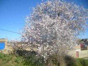 Aguemerth, village de Draa Kébila.