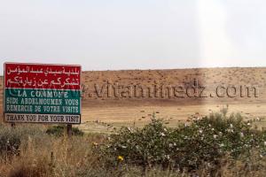 Mascara - Fin Commune Sidi Abdelmoumen