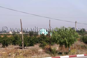 Marabout Mostaganem, commune d\'El Hassiane