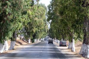 Mostaganem, commune d\'Ain Nouissy