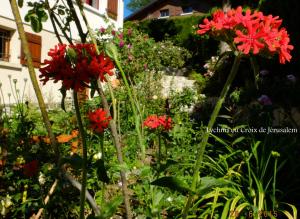 il fait chaud, ça!!!! c'est très bien, et les roses sont heu...