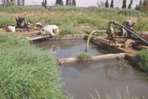 Algérie -  C’est la solution à laquelle recourent les agriculteurs face à la sécheresse: Des produits agricoles irrigués avec de l’eau usée !