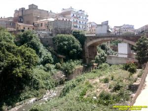 MOSTAGANEM -  Le cours de l’oued Aïn Sefra sera transformé en une oasis