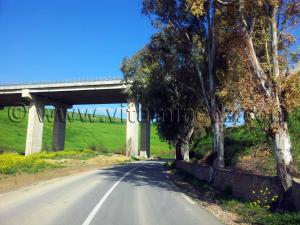 Tlemcen - Ain Temouchent RN2 Sous l\'autoroute Commune de Amieur