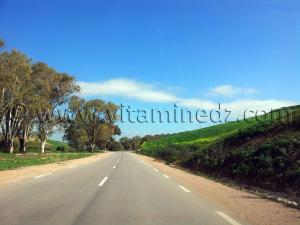 Ancienne route de Tlemcen vers Oran - RN2 Commune de Amieur