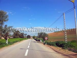 Tlemcen - Village de Amieur