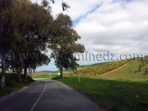 RN2 Tlemcen menant vers Témouchent - Commune de Bensekrane