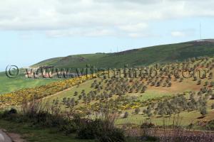 RN2 Tlemcen - Ain Tekbalet, Commune de Bensekrane