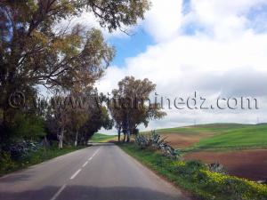 RN2 Tlemcen - ancienne route d\'Oran, Commune de Bensekrane