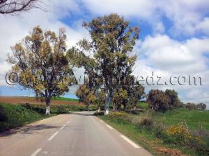 RN2 Tlemcen - Commune de Bensekrane