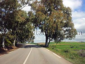 RN2 Tlemcen - Commune de Bensekrane