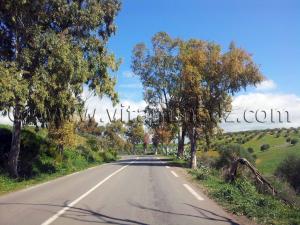 RN2 Tlemcen - Commune de Bensekrane