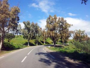 RN2 Tlemcen - Commune de Bensekrane