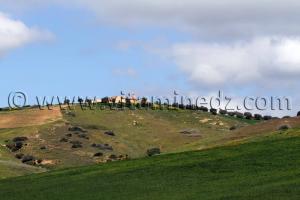 RN2 Tlemcen - Commune de Bensekrane