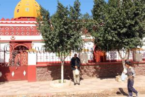 Tlemcen - Village de Bensekrane, mosquée