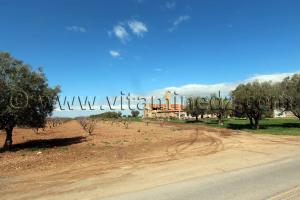 RN2 Tlemcen - Commune de Bensekrane, ferme coloniale