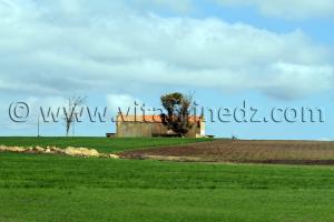 Ain Temouchent - Ferme coloniale Commune Ain Kihal (Ain Kial)