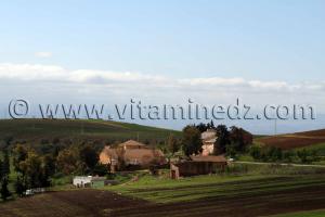 Ain Temouchent - Ferme coloniale Commune Ain Kihal (Ain Kial)