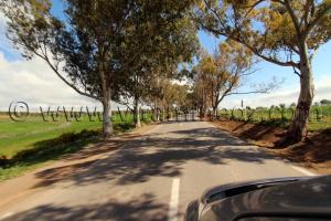 Ain Temouchent - RN2 Commune Ain Kihal (Ain Kial)