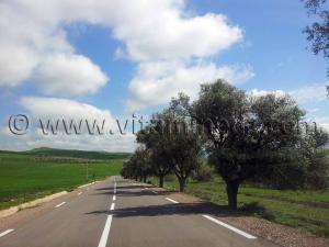 Ain Temouchent - Commune d\'Aghlal