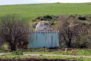 Ain Temouchent - Marabout, Commune de Aoubellil (عقب الليل)