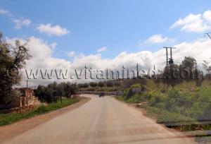 Ain Temouchent - Entrée de Aoubellil (عقب الليل)