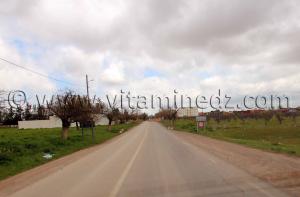 Sidi Bel Abbes - Commune Sidi Ali Boussidi