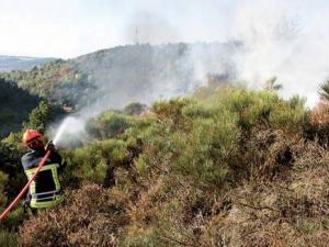Aïn Témouchent - Les incendies font des ravages  Feux de récolte, feux de forêts...