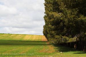 La nature, des espaces à vivre