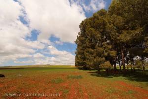 La nature, des espaces à vivre