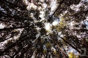 La nature, des espaces à vivre