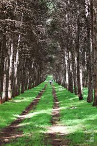 La nature, des espaces à vivre