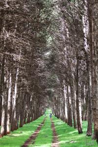 La nature, des espaces à vivre