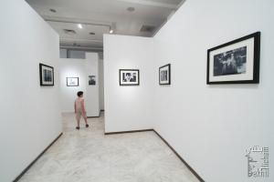 Tlemcen - Exposition photo  L\'enface et la Guerre au Palais de la Culture.